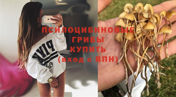 ешки Нея