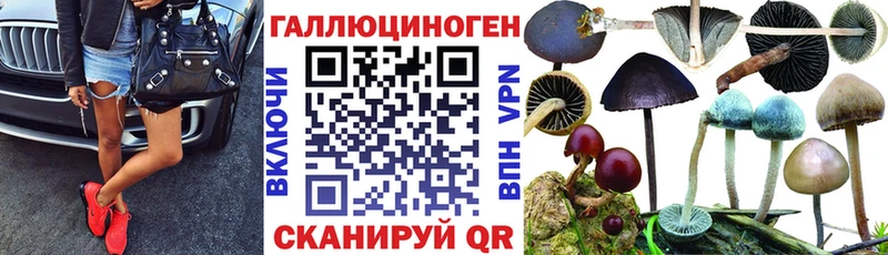 Галлюциногенные грибы прущие грибы Холмск