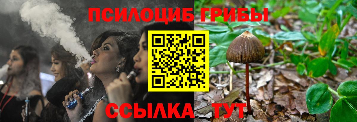 Галлюциногенные грибы мицелий Холмск
