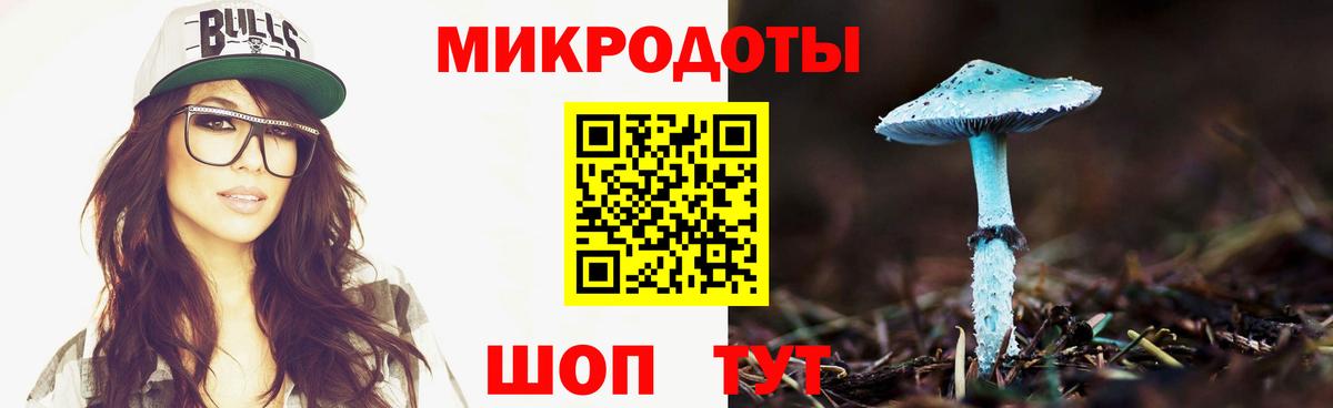 Холмск  Псилоцибиновые грибы Cubensis  Вход с VPN  Галлюциногенные грибы MAGIC MUSHROOMS 